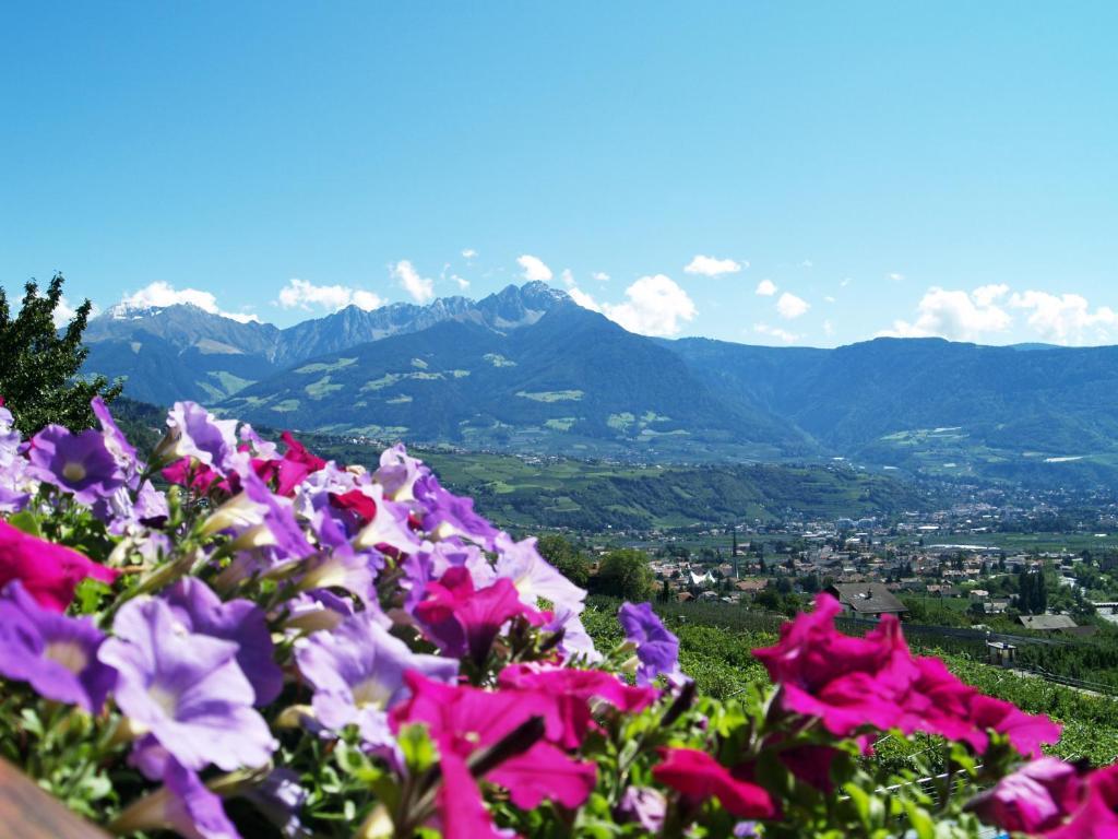 Pension Alpenblick Lagundo Exterior foto